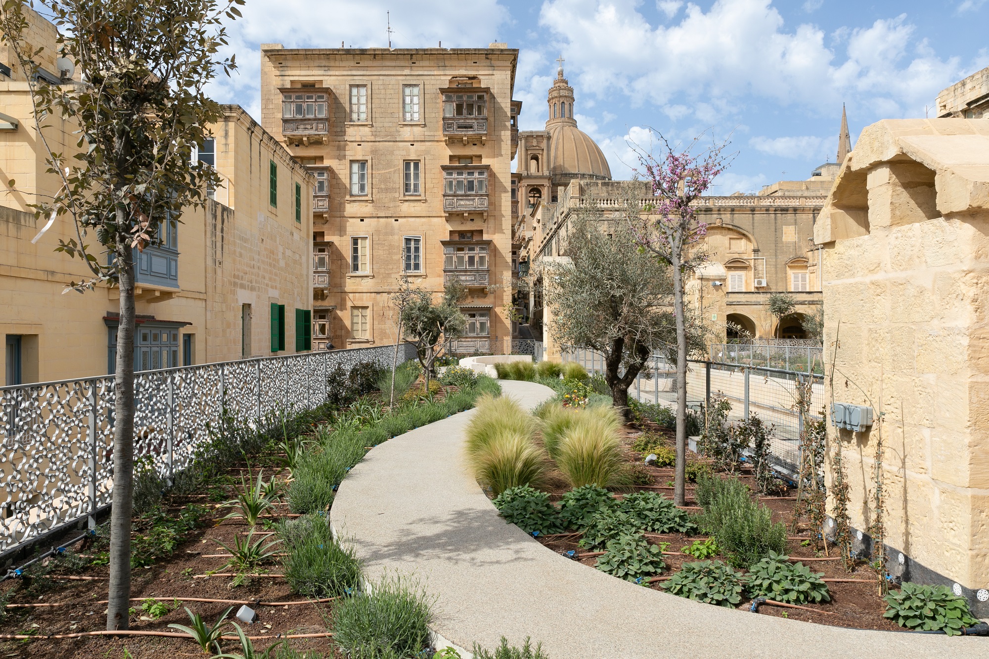 Urban greening in Valletta
