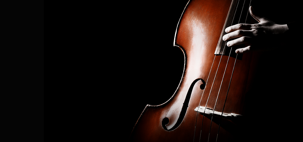 Malta International Double Bass Days returns online