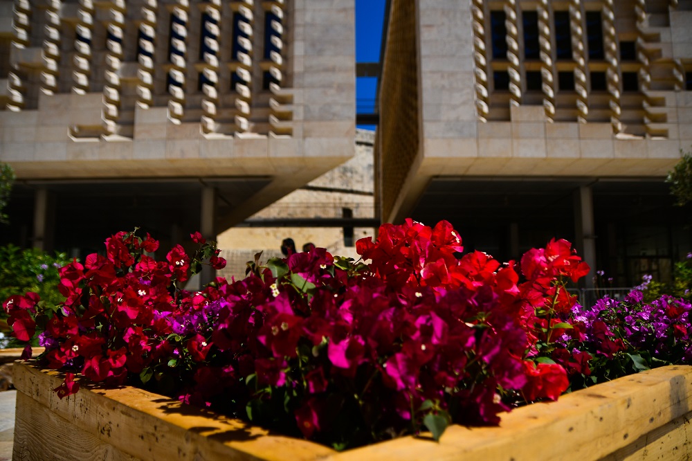 Freedom Square Garden here to stay