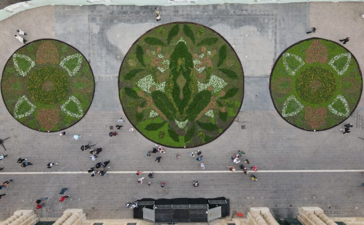 A photo showing the flower carpet (infiorata) during the Valletta Green Festival