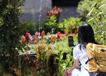 Valletta Green Festival 2025: Ċelebrazzjoni ta’ Sostenibbiltà fil-Kapitali