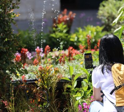 A photo showing a person taking photos of the Valletta Green Festival