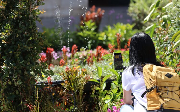 A photo showing a person taking photos of the Valletta Green Festival