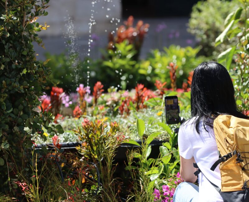 A photo showing a person taking photos of the Valletta Green Festival