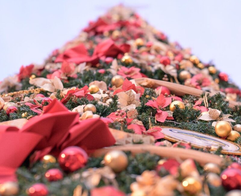 A close-up photo of the Valletta Christmas Tree in Freedom Square